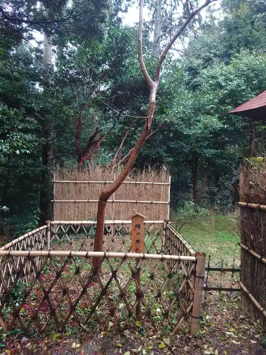矢奈比賣神社(見付天神)(静岡県)