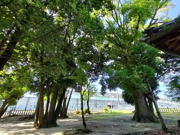 新屋坐天照御魂神社(大阪府)