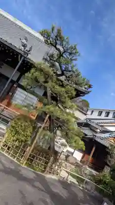 法雲寺(愛知県)