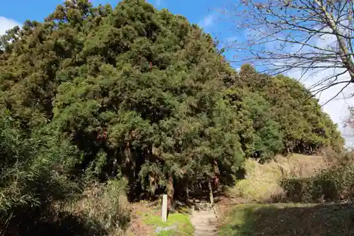 王子神社の景色