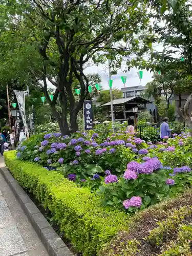 白山神社(東京都)