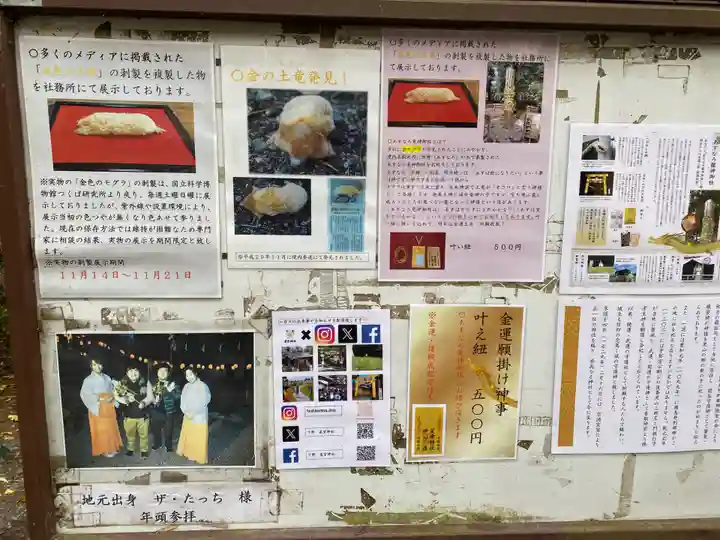 下野 星宮神社(栃木県)