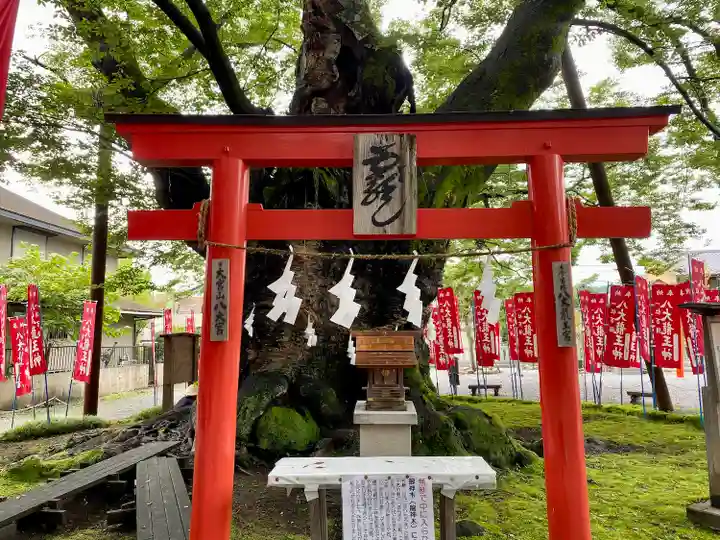 秩父今宮神社(埼玉県)