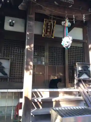 田丸稲荷神社の本殿・本堂