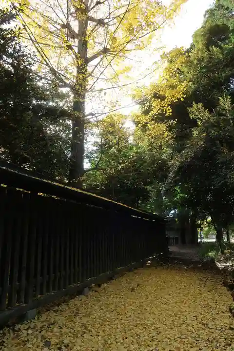 甲斐國一宮 浅間神社(山梨県)