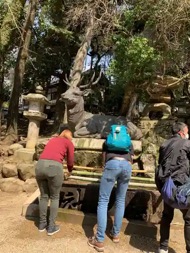 春日大社(奈良県)