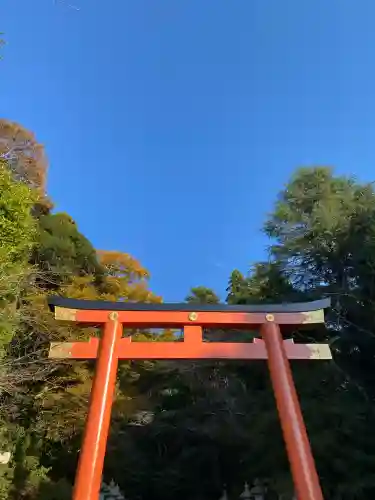 香取神宮(千葉県)