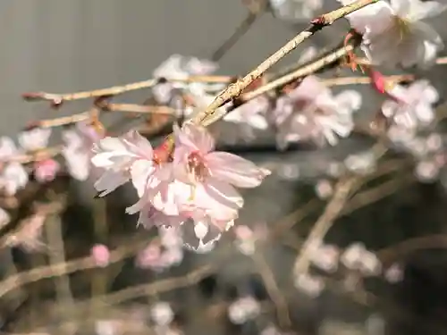 綱敷天神社(大阪府)
