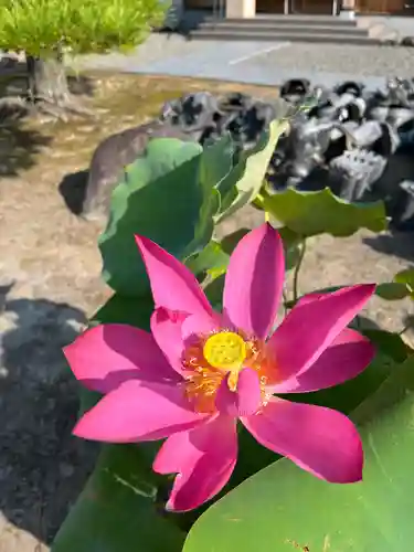 大光寺(大阪府)