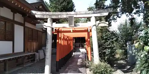 白井神社の鳥居