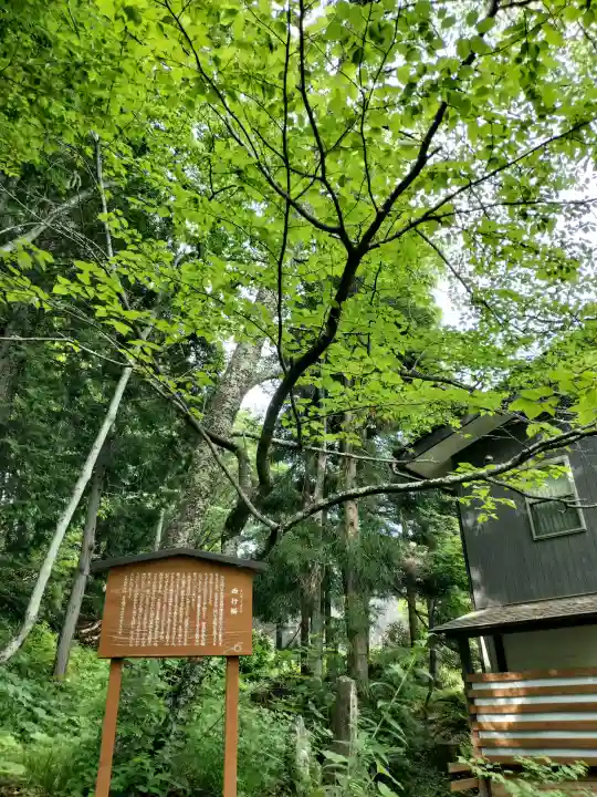 戸隠神社火之御子社(長野県)