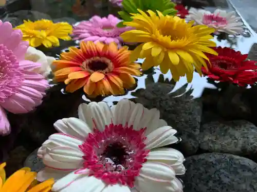 滑川神社 - 仕事と子どもの守り神の手水舎