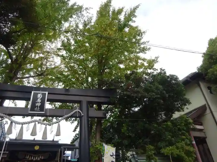 菊名神社の自然