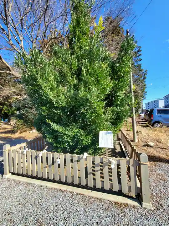 百頭神明宮(栃木県)