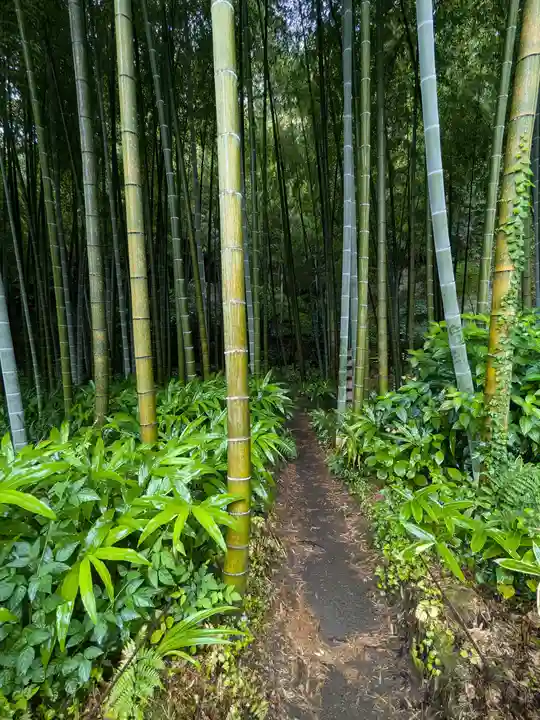 英勝寺(神奈川県)