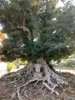 円性寺(千葉県)