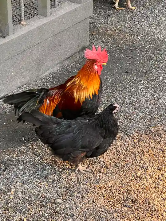 石上神宮(奈良県)