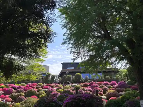 根津神社(東京都)
