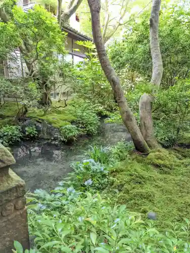 光明寺瑠璃光院(京都府)