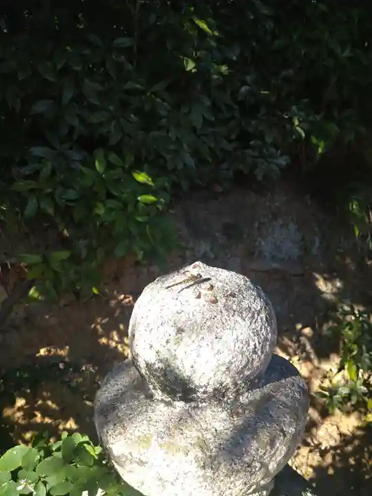 阿智神社の動物