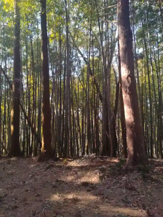 深山神社(花島)(宮城県)