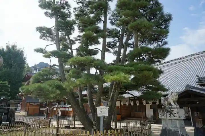 大願寺の本殿・本堂