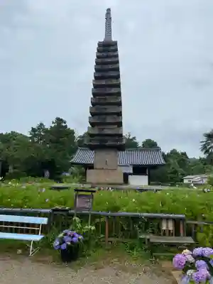 般若寺 ❁﻿コスモス寺❁(奈良県)