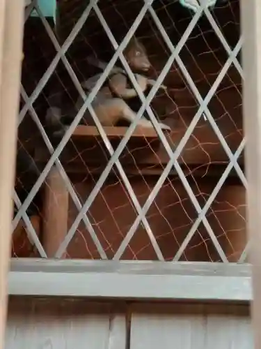 出雲路幸神社(京都府)