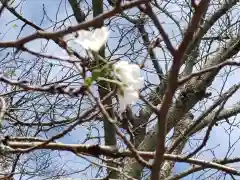 洞泉寺(岐阜県)