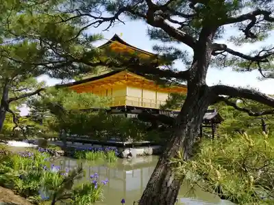 鹿苑寺(金閣寺)の本殿・本堂