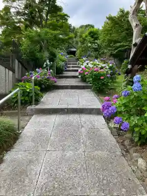 妙覚寺(東京都)