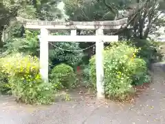 浅間神社の鳥居