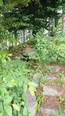 北野神社の自然