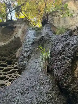 山寺千手院(山形県)