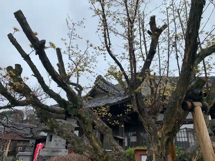 妙建寺のその他建物