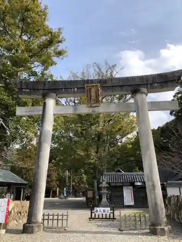 闘鶏神社の鳥居