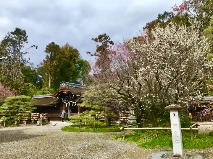 梅宮大社のその他建物