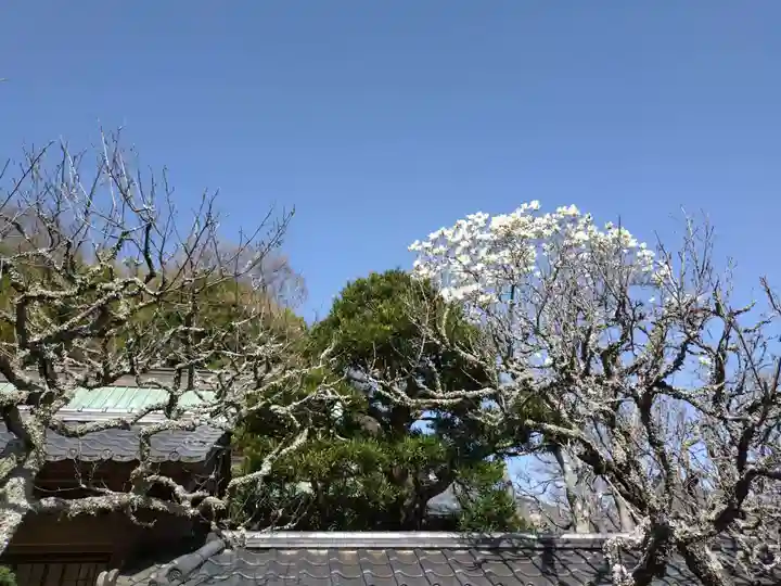 東慶寺(神奈川県)