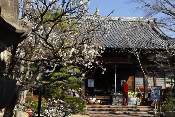 法輪寺(東京都)
