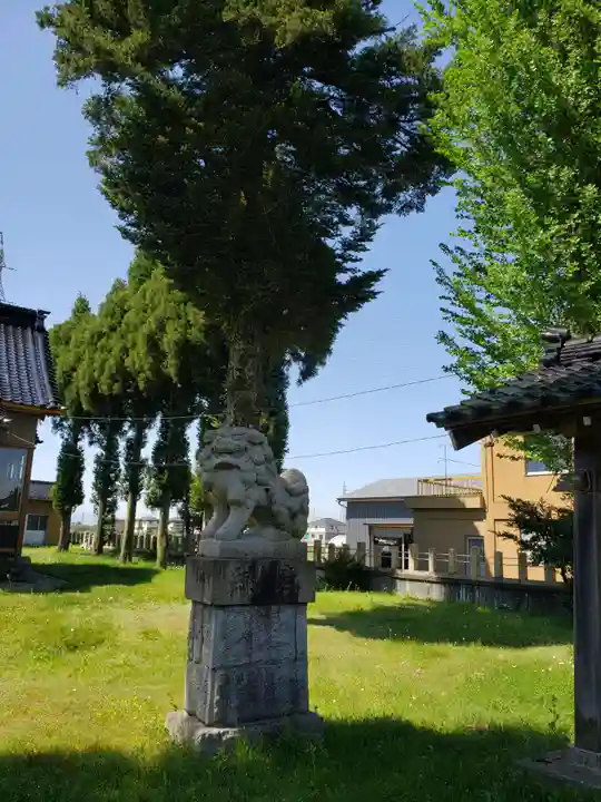 大清水神社の狛犬