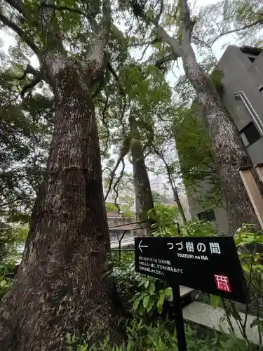 來宮神社(静岡県)