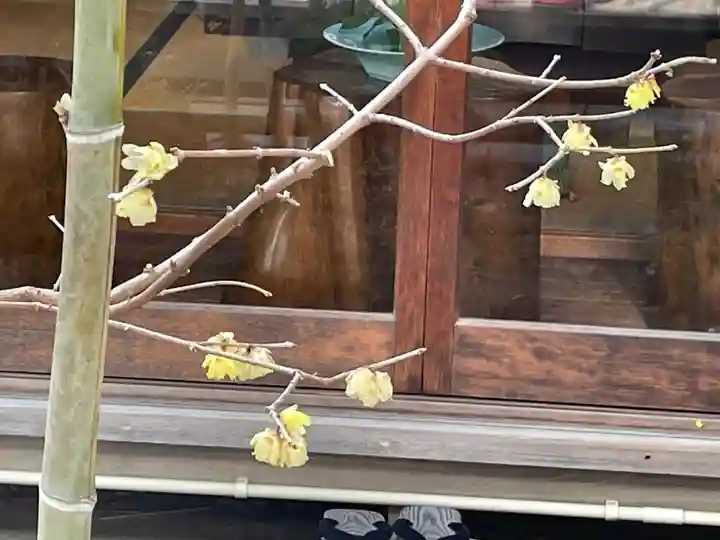 遠照山 光明寺(尼崎大仏)(兵庫県)