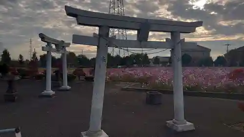 寅稲荷神社の鳥居