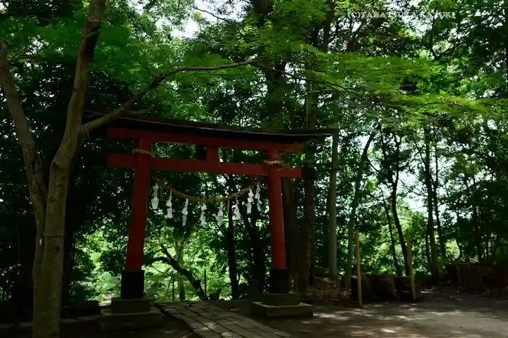 氷川女體神社(埼玉県)