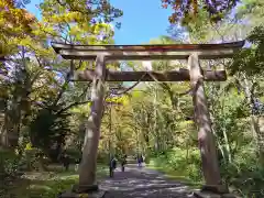 戸隠神社奥社(長野県)