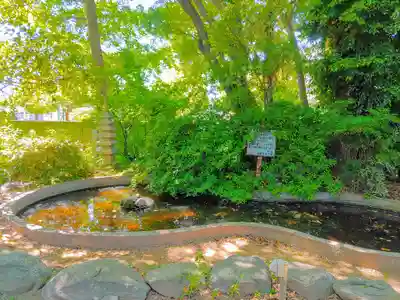 市寸島社（辨財天神社）のその他建物