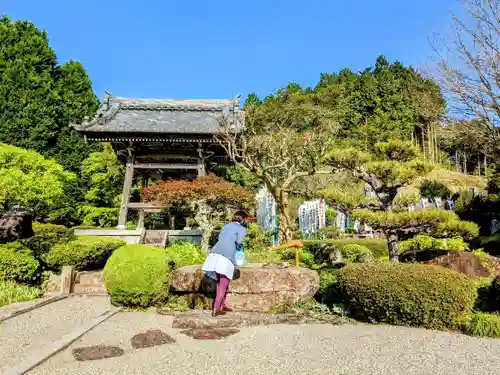 禅林寺の手水