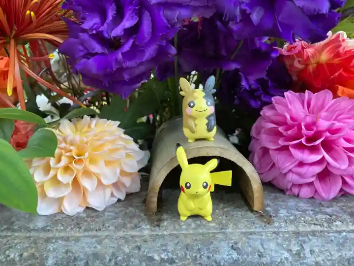 勝林寺(京都府)