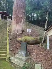 吉田八幡神社(茨城県)