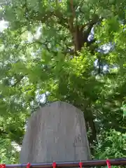 七社神社(東京都)